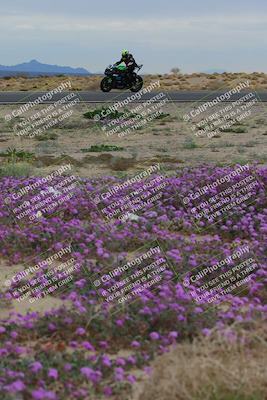 media/Jan-14-2023-SoCal Trackdays (Sat) [[497694156f]]/Turn 14 Exit Bloomig (145pm)/